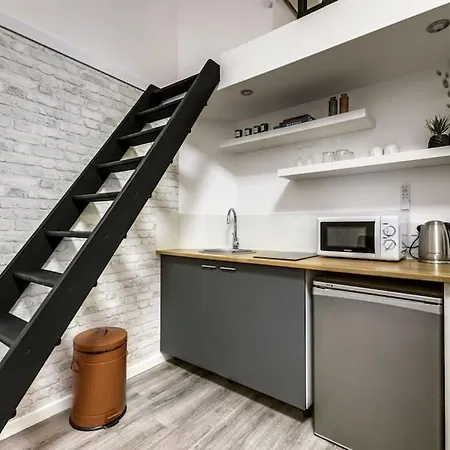 Amazing Loft 4p- Republique